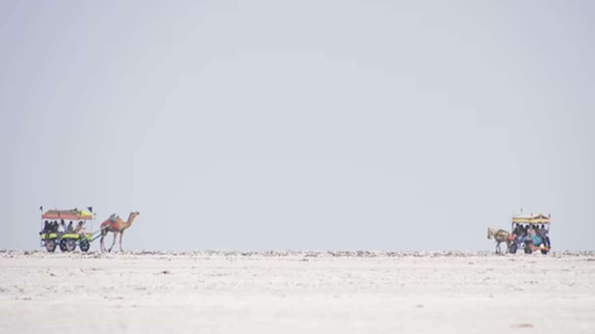 GK: Which Is India’s Largest District? It's 31 Times The Size Of Delhi, Larger Than Several States