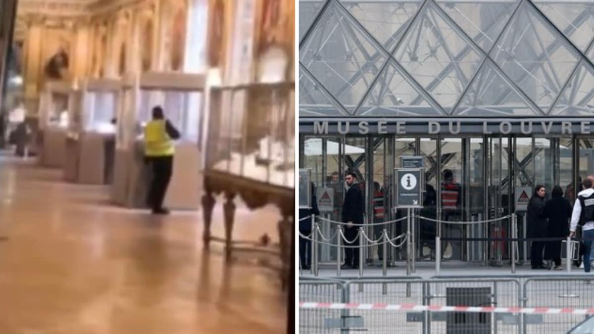 Louvre Heist: CCTV Shows Thief Cutting Through Glass Before Fleeing With Priceless Jewels | Watch