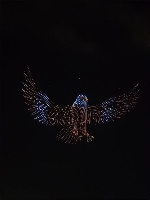 The spectacle also included graceful visuals of a peacock, dolphin, eagle, and the iconic Ambari elephant, blending tradition and innovation in a truly unforgettable display. The spectacle also included graceful visuals of a peacock, dolphin, eagle, and the iconic Ambari elephant, blending tradition and innovation in a truly unforgettable display.