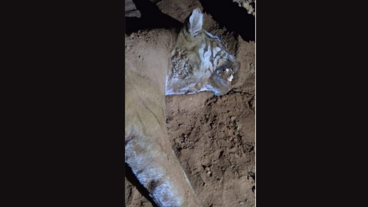 Abtak.com - Other - News Image