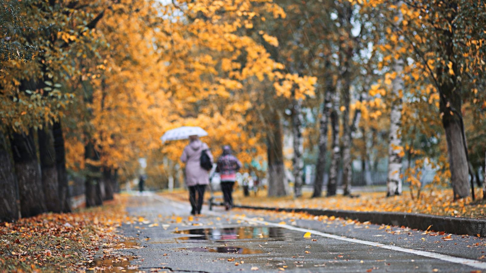Cloud Seeding: These Countries Are Using Artificial Rain Technology Cloud Seeding: These Countries Are Using Artificial Rain Technology