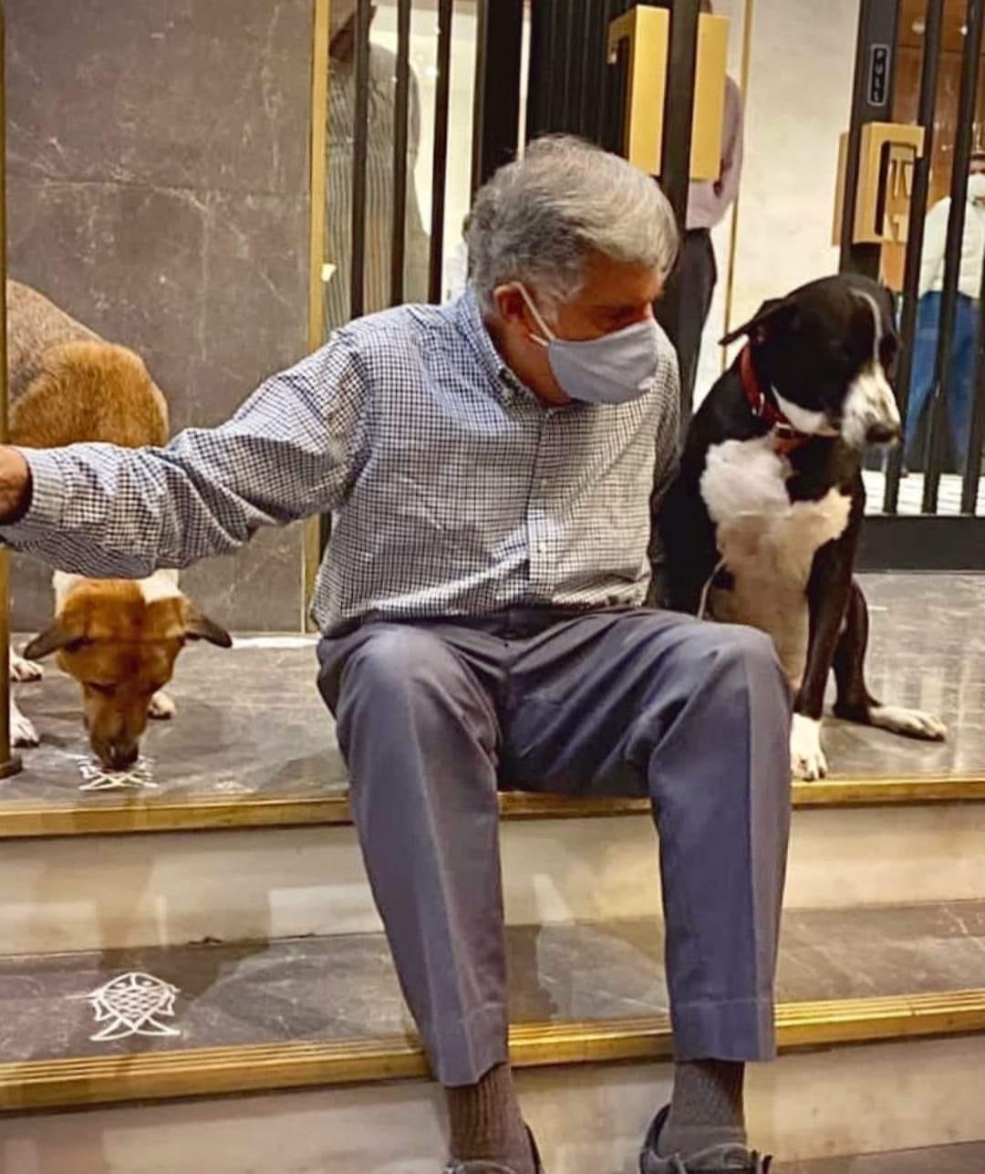 Ratan Tata Death Anniversary: Throwback To Major Moments In Life Of The Business Leader
