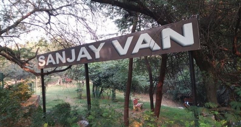 Sanjay Van: This dense forest near Qutub Institutional Area is infamous for ghostly sightings. Visitors report seeing an old woman in white, feeling sudden pushes from unseen forces, and encountering fog even during peak summer. Sanjay Van: This dense forest near Qutub Institutional Area is infamous for ghostly sightings. Visitors report seeing an old woman in white, feeling sudden pushes from unseen forces, and encountering fog even during peak summer.