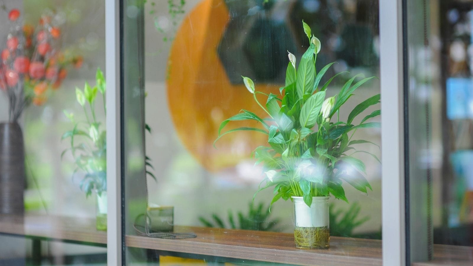 Smog Season Survival: 8 Must-Have Indoor Plants To Keep Your Air Clean Smog Season Survival: 8 Must-Have Indoor Plants To Keep Your Air Clean