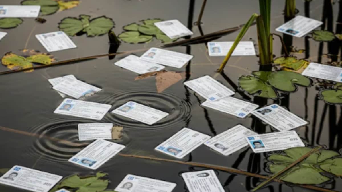 Nearly 500 Genuine Voter ID Cards Found Floating In MP Pond, Probe Ordered