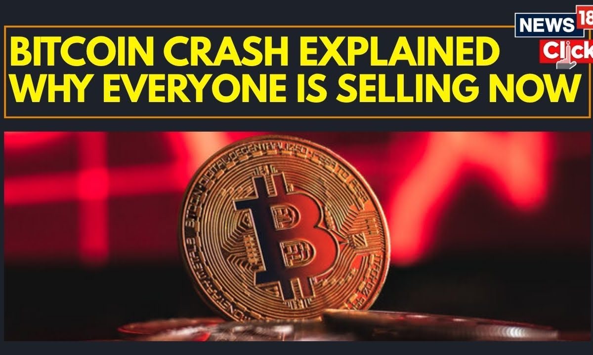 Bitcoin Falls Nearly 30% | Great Bitcoin Crash Of 2025 Has It Lagging  Bonds, Gold And More | N18