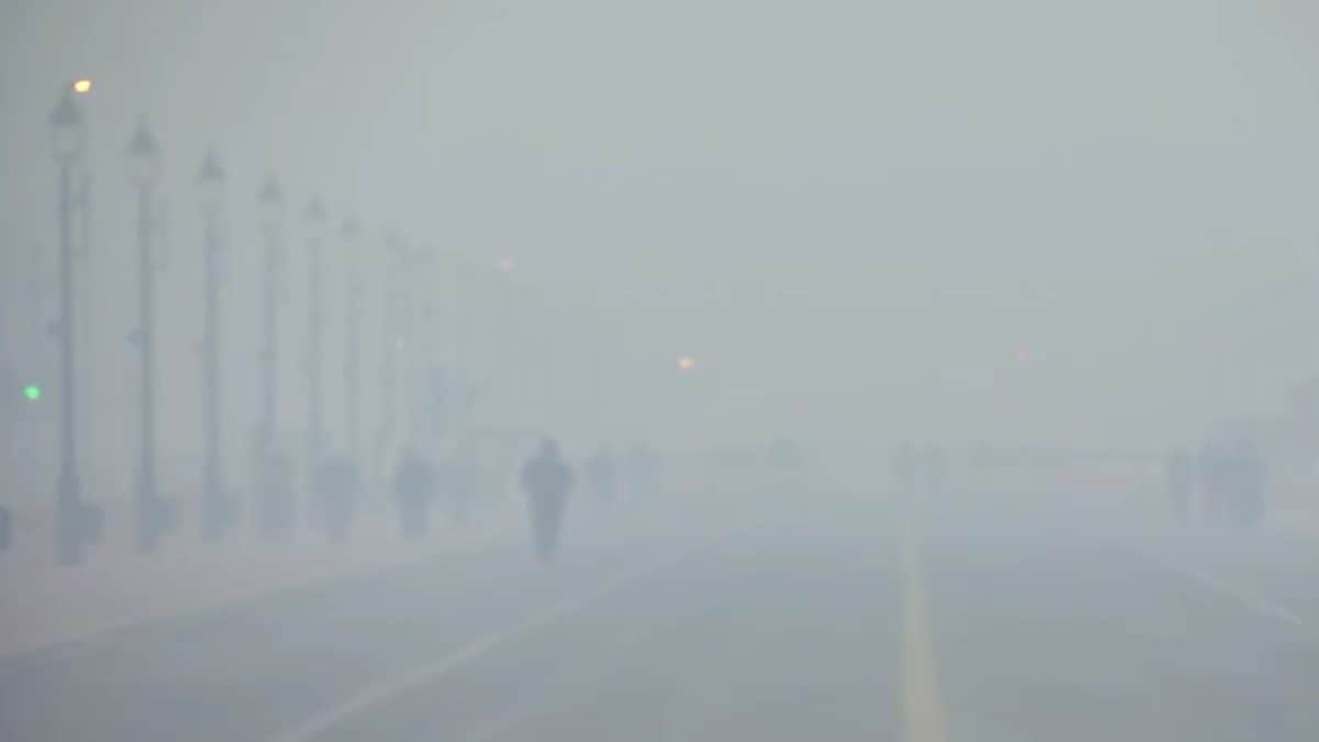 Will Ethiopian Volcanic Ash Impact Delhi Air Pollution? Meteorologist Says This | India News