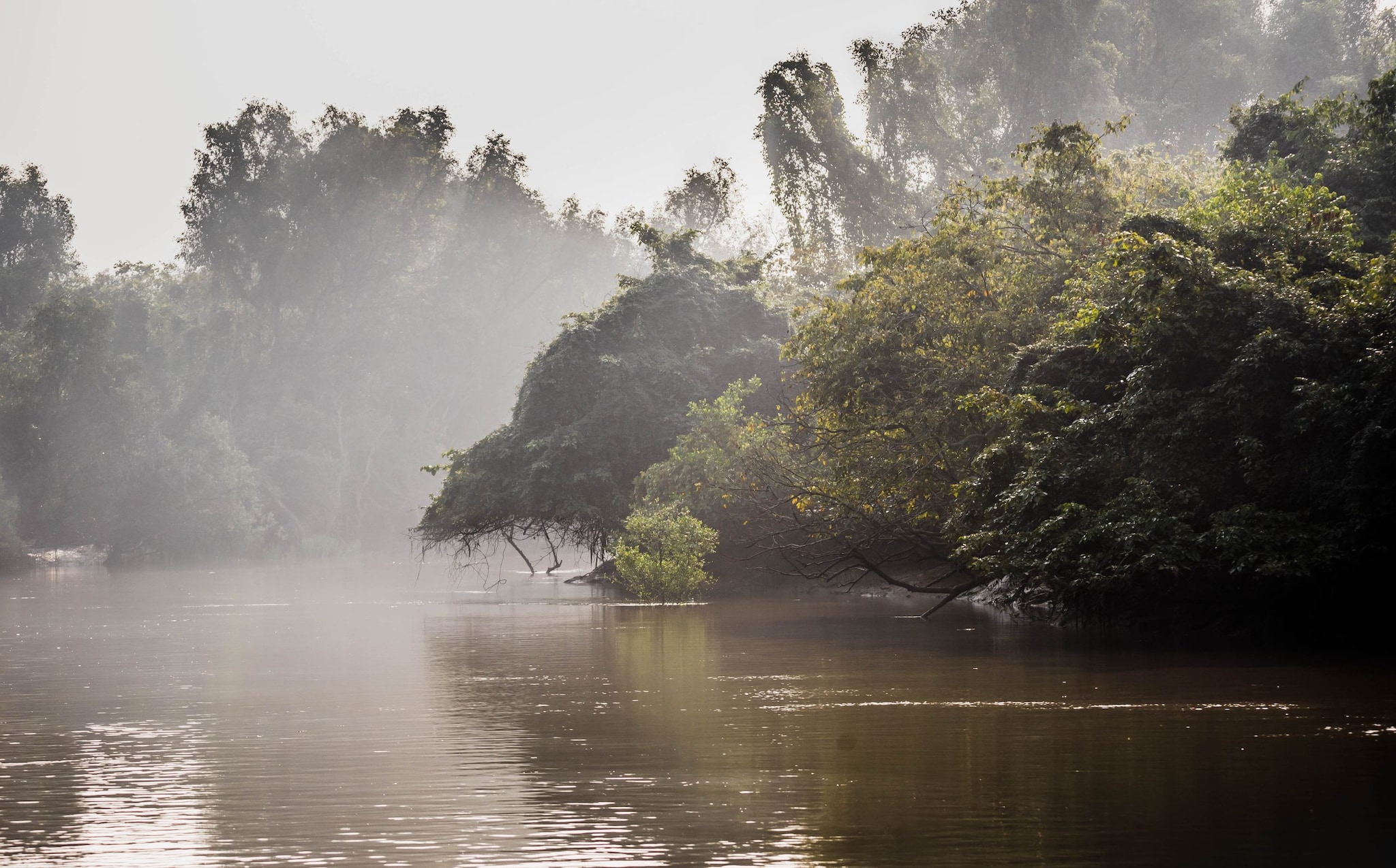 Unplug And Unwind: 6 Wild Destinations To Reset Your Mind Unplug And Unwind: 6 Wild Destinations To Reset Your Mind