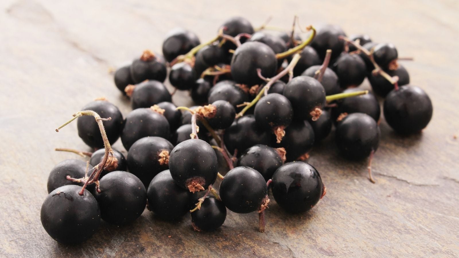 Beyond Oranges: 6 Vitamin C Powerhouses To Keep You Healthy This Winter