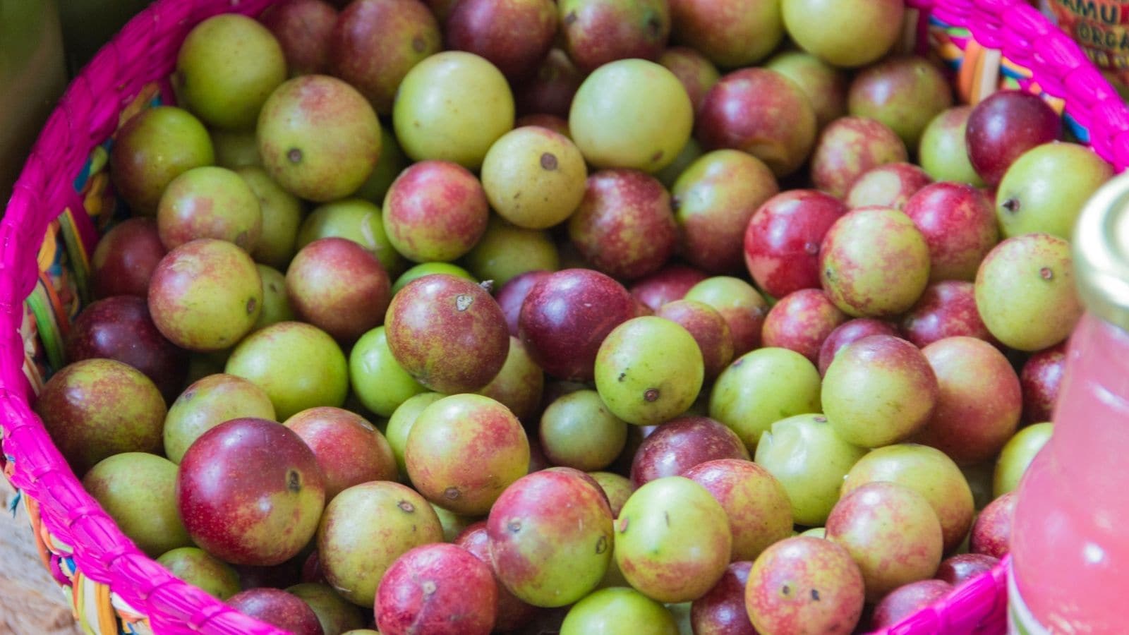 Beyond Oranges: 6 Vitamin C Powerhouses To Keep You Healthy This Winter