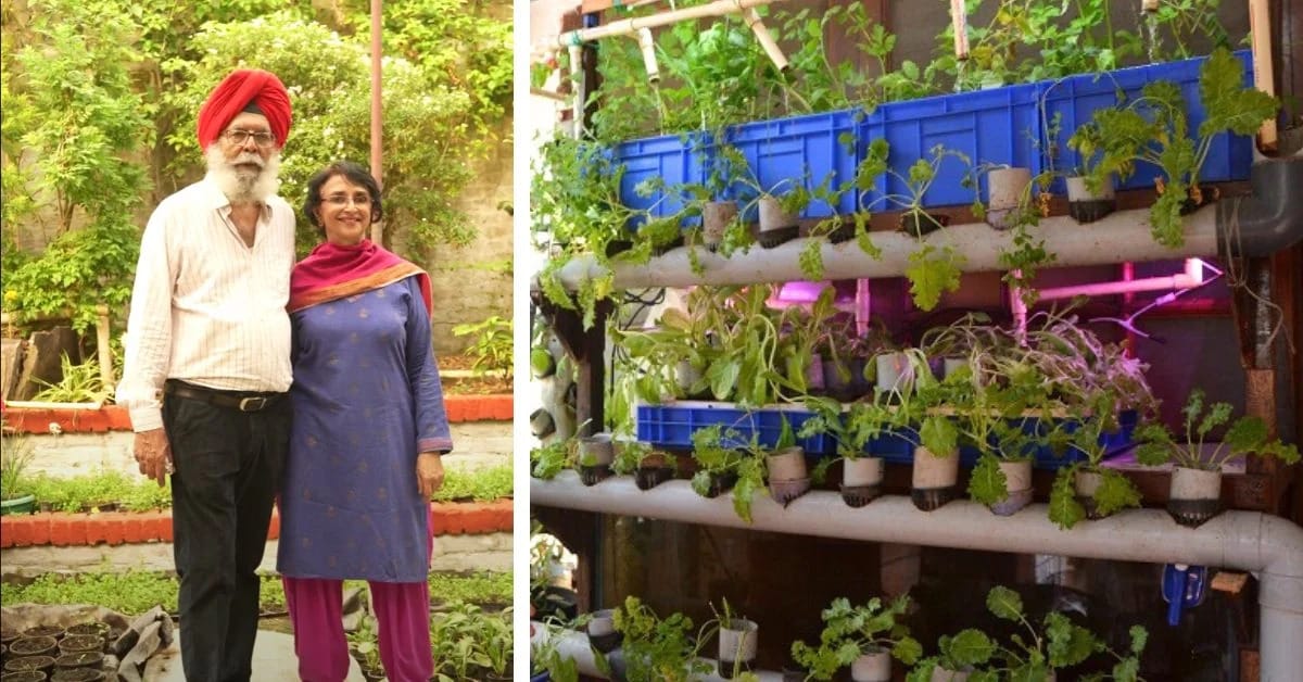 How One Delhi Home Beat The Smog With An AQI Of Just 15