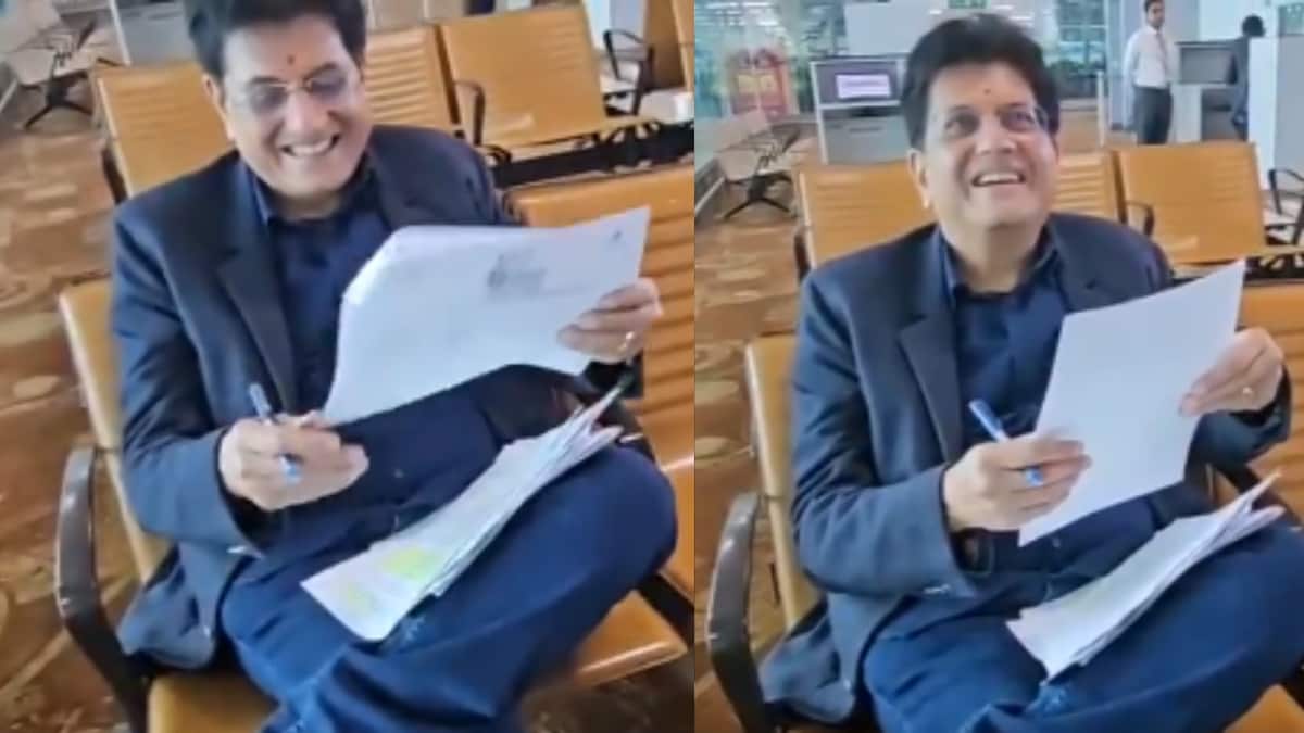 What Should You Do If Your Flight Is Delayed? Union Minister Piyush Goyal Has Some Tips