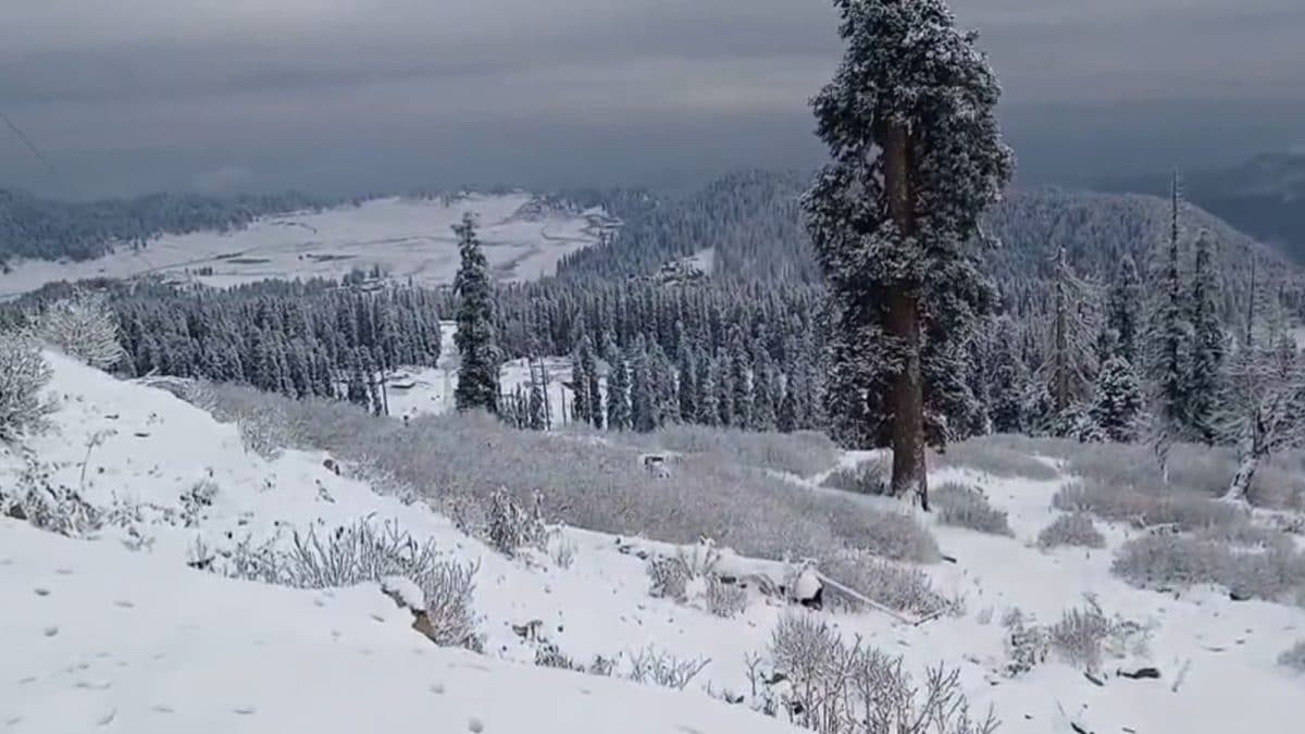 J&K's Gulmarg Gets Snowfall Turns Into White Wonderland | See Pics