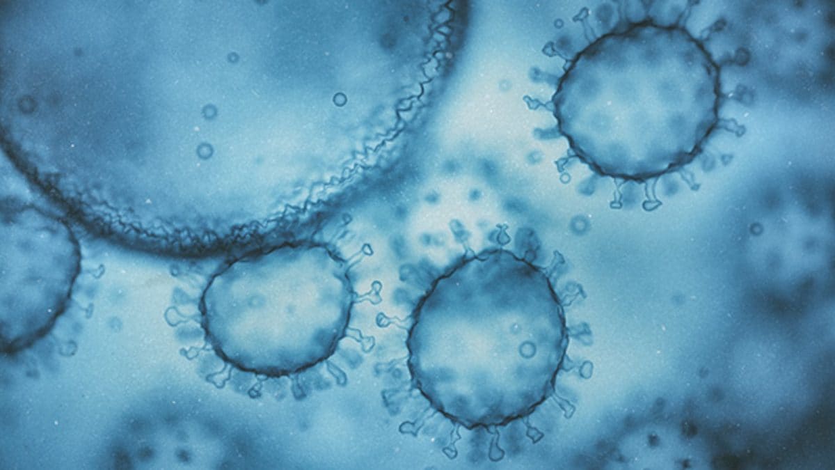 Norovirus Surge In US: What To Know About The Rapid Spread Of 'Winter Vomiting' Virus