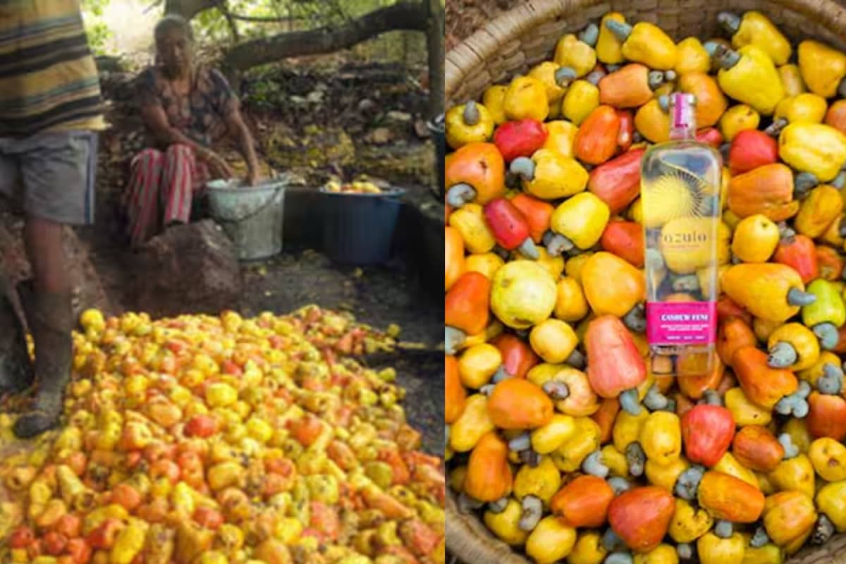 No Pain, No Hangover: The Origin Story Of Goa's Most Famous Drink Is Wild