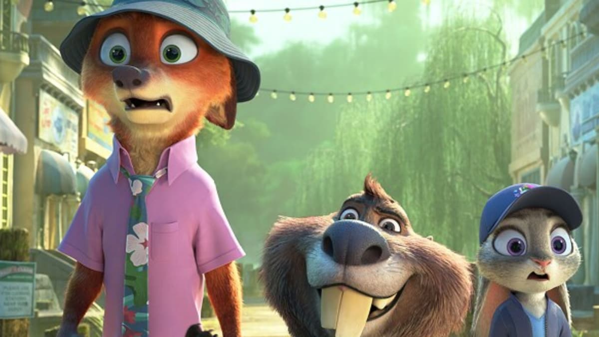From Wicked To Zootopia 2: Big Hollywood Releases This November | Bollywood News From Wicked To Zootopia 2: Big Hollywood Releases This November | Bollywood News