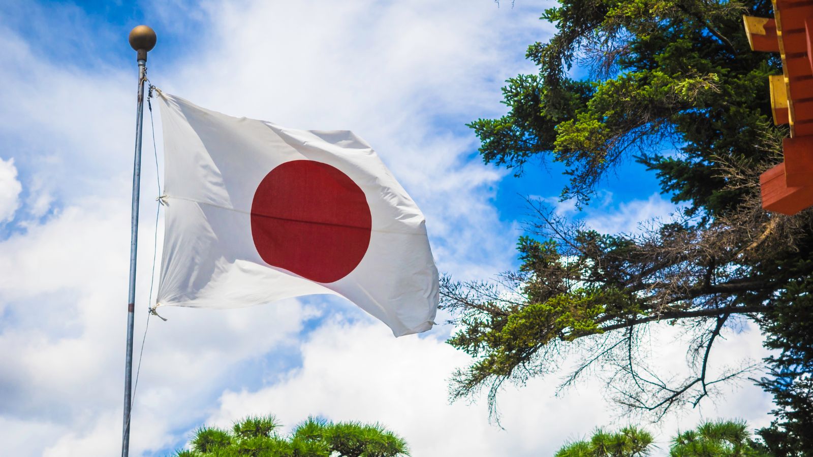  India Climbs 5 Spots, See The Top 10