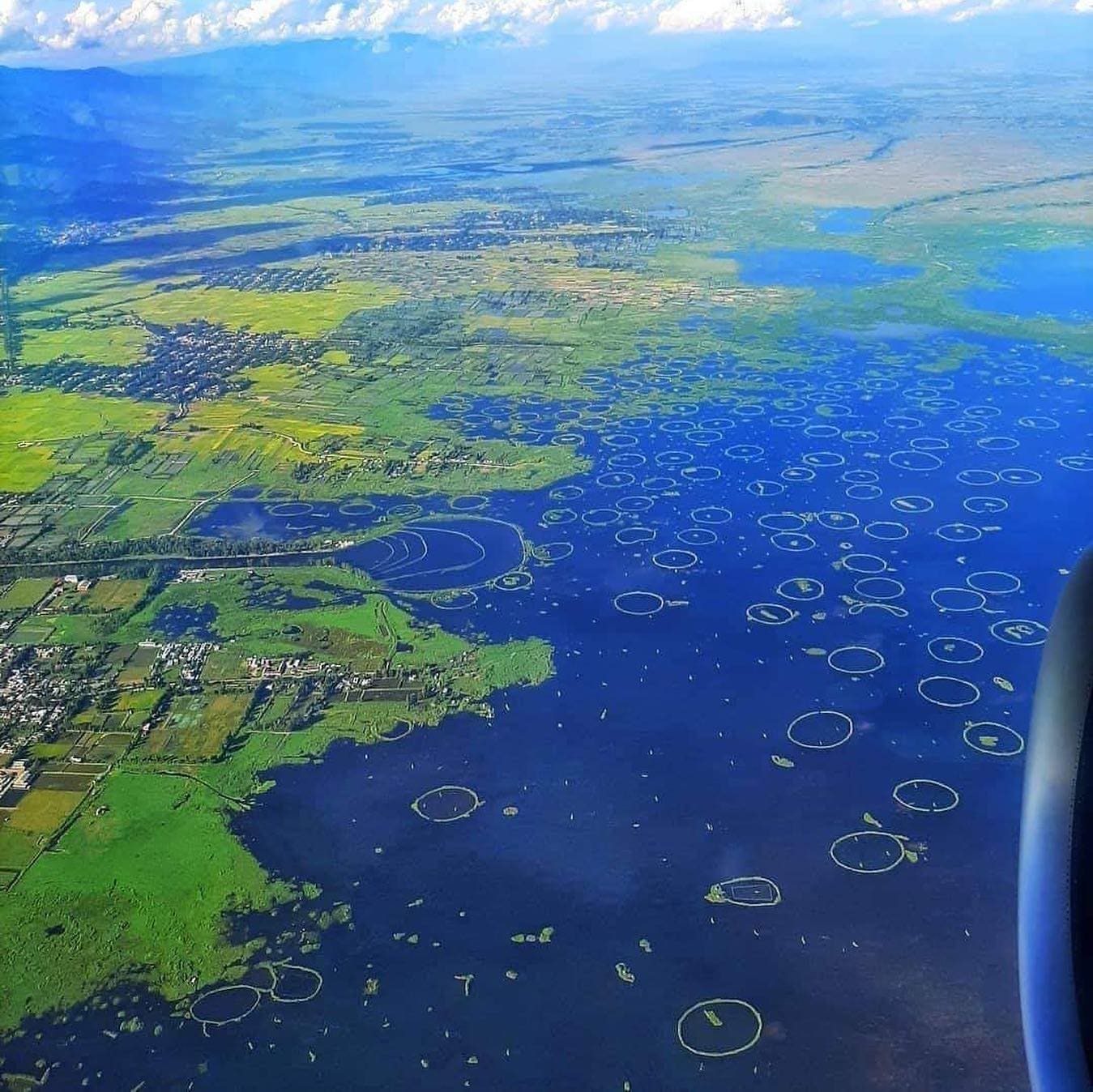 This Is The Only Floating National Park In The World – Located In India