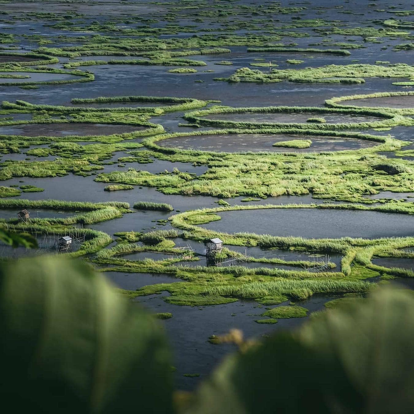 This Is The Only Floating National Park In The World – Located In India
