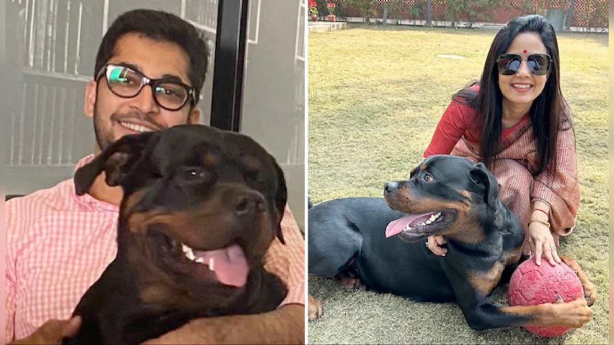 ‘Henry Is Safe’: Jai Dehadrai Claims Win In Dog Custody Case Against Mahua Moitra