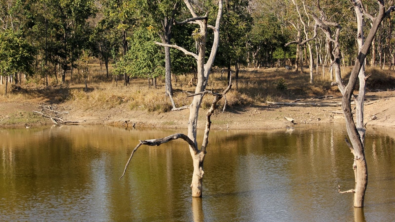 Unplug And Unwind: 6 Wild Destinations To Reset Your Mind Unplug And Unwind: 6 Wild Destinations To Reset Your Mind