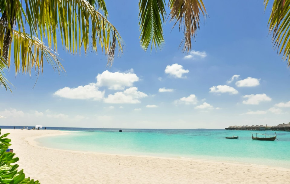   मालदीव से कानी - इसका मतलब धिवेही में सुंदर लड़की या युवा व्यक्ति है और यह बुरेवी और ओडी के साथ मालदीव द्वारा प्रस्तुत नामों में से एक है।