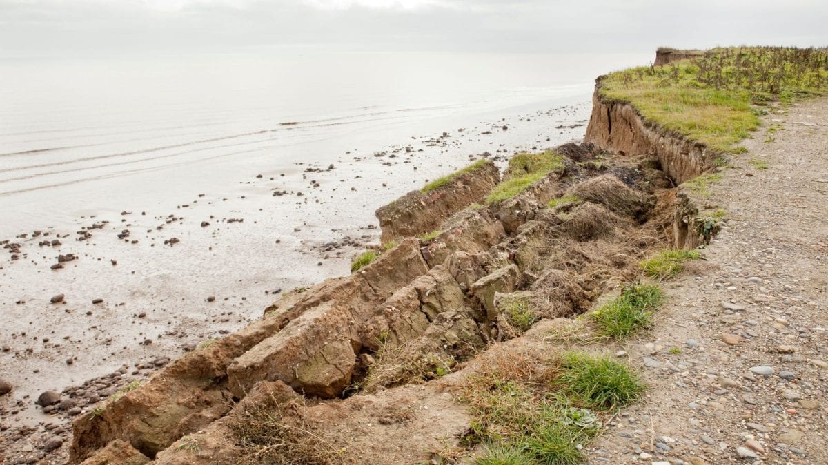 India's Coastline Shrinking: Villages Vanish Amidst Rising Seas