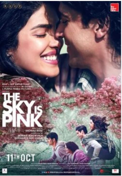  The Sky Is Pink: The film collected Rs 28.5 crore at the box office. This film is based on the life of Aisha Chaudhary, a motivational speaker who passed away in 2015 at the age of 18 due to an immunodeficiency disorder she was born with.