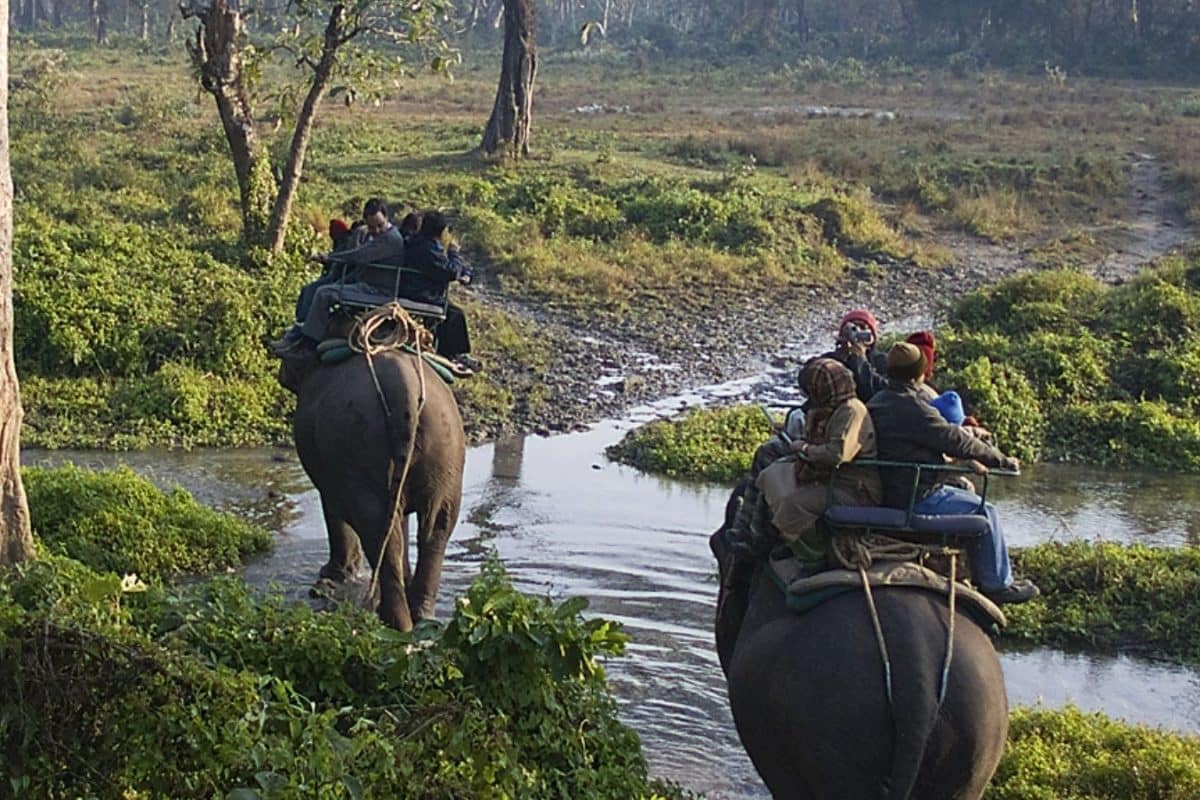 Unplug And Unwind: 6 Wild Destinations To Reset Your Mind