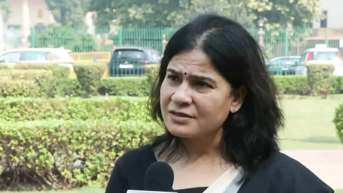 ‘Nightmare For Administration’: Animal Rights Activists Disappointed With SC Order On Stray Dogs