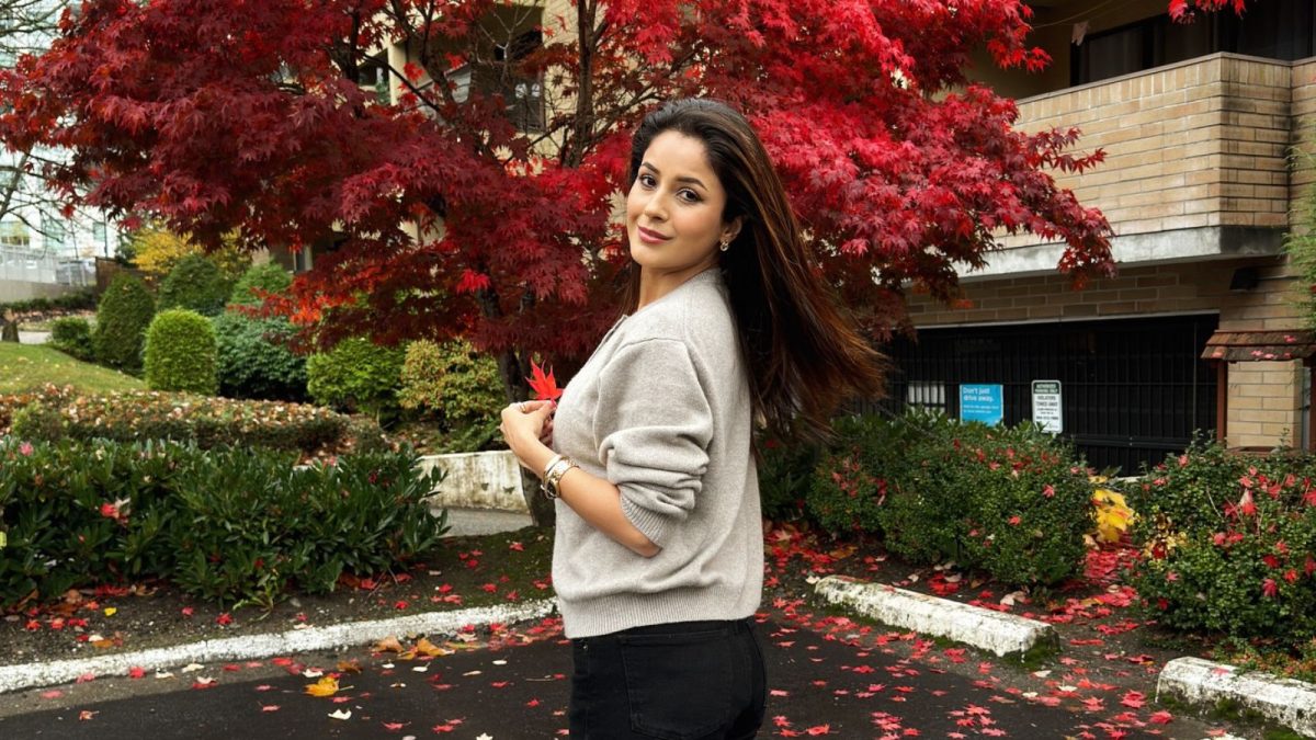 Shehnaaz Gill Says She Was Being Used As A ‘Prop’ In Bollywood Films: ‘I Am Not Getting Good Stories’ | Bollywood News Shehnaaz Gill Says She Was Being Used As A ‘Prop’ In Bollywood Films: ‘I Am Not Getting Good Stories’ | Bollywood News
