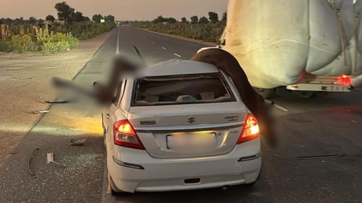 Camel Gets Trapped After Head-On Collision With Car In Rajasthan, Rescued