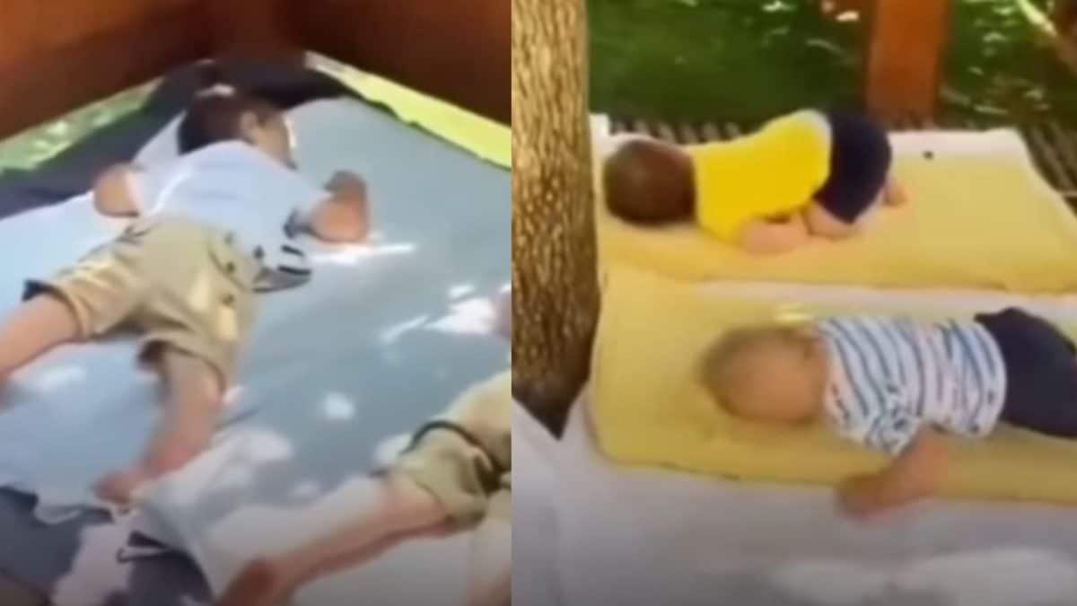 Italian School Is Using Bird Sounds To Help Children Sleep — Does It Work Or Is White Noise More Effective?