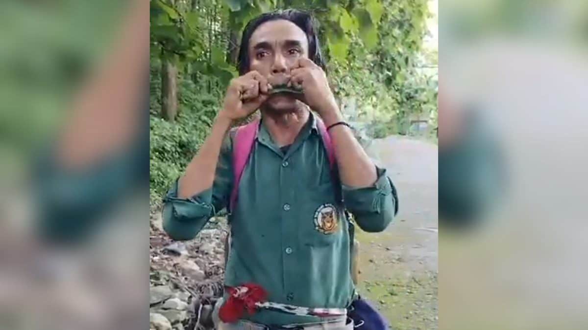 Tiger Reserve Guide Whistles Soothing Tune Using A Leaf, IFS Officer Shares Video