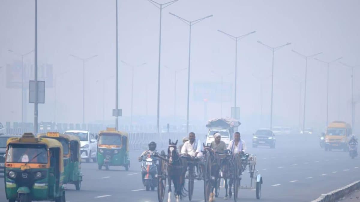 Cold Wave, Fog To Intensify Across North India: IMD Shares January 4's Weather Update