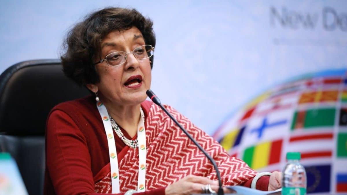 Bangladesh Poll Won't Count As Real Unless All Parties Are Allowed To Take Part: Ex-Envoy | Exclusive