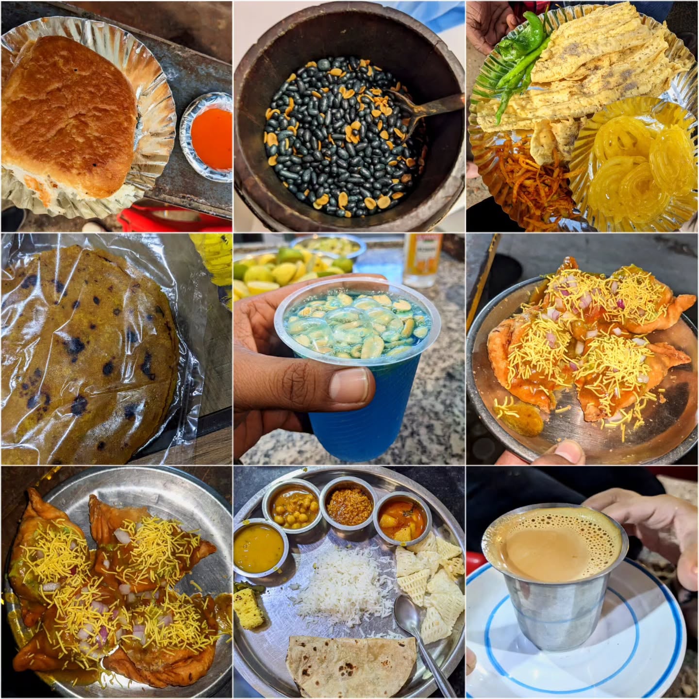 Visitors can enjoy authentic Gujarati vegetarian delicacies like Dhokla, Khandvi, Kadhi, Gathiya and the comforting Dal Dhokli.