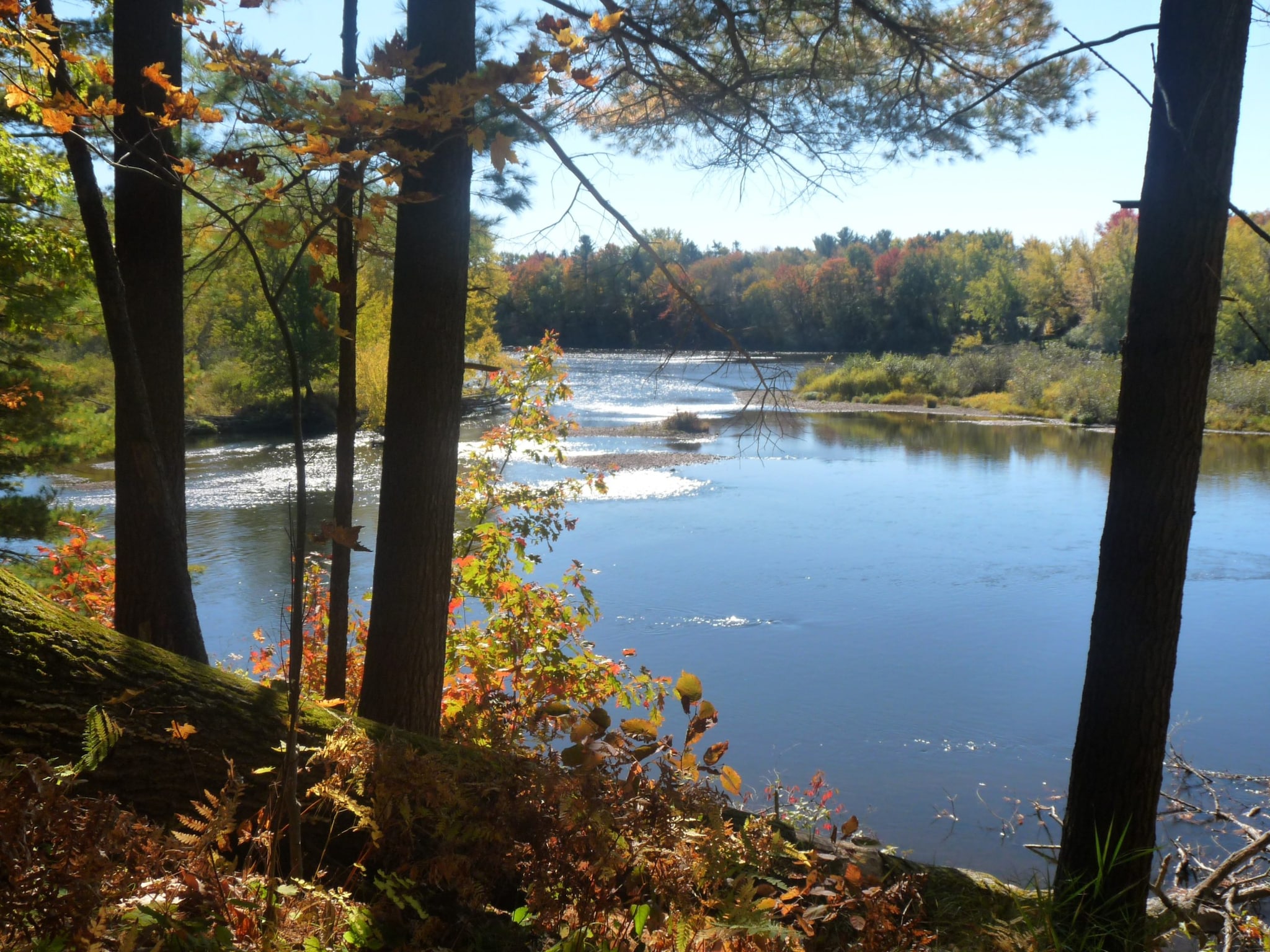 From The Amazon To The Chicago: These Rivers Flow Backwards, Here's Why
