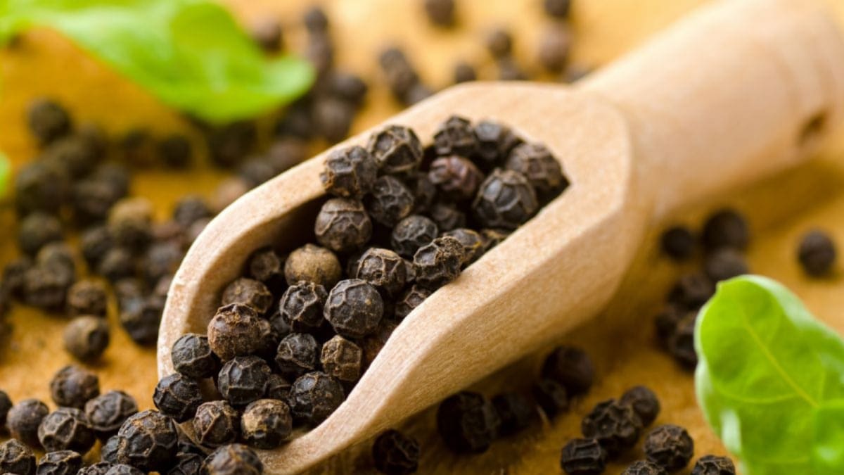 Grow Your Own Black Pepper This Winter With These 7 Easy Gardening Tips