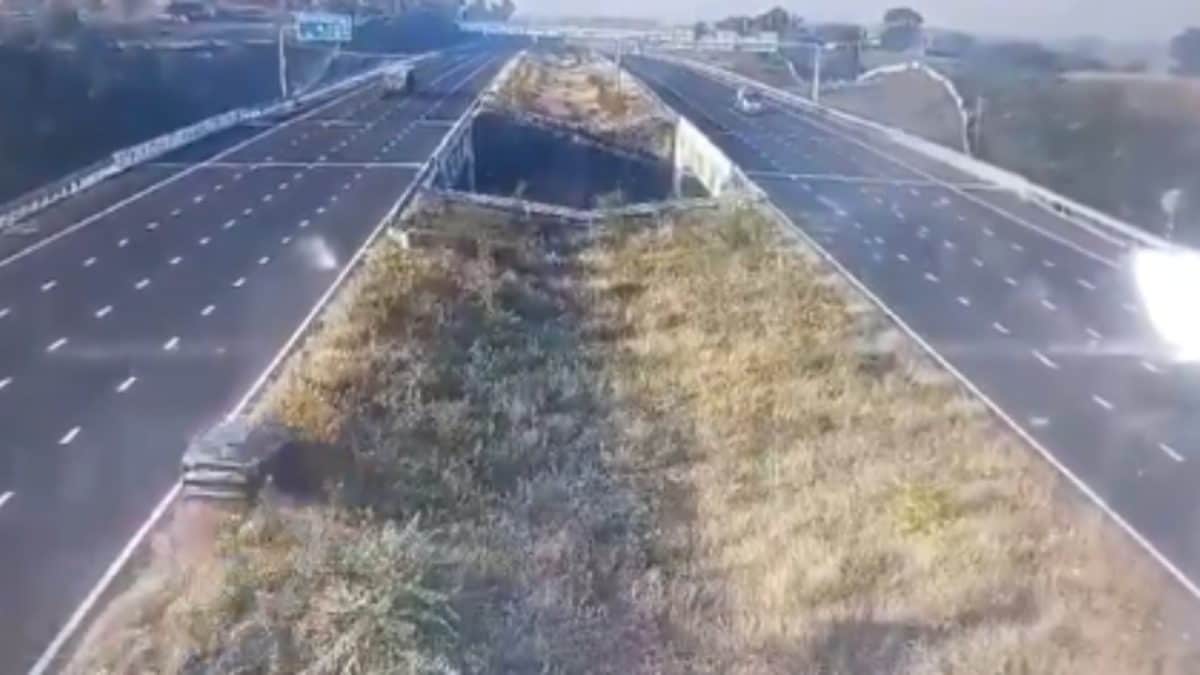 5 Dead As Speeding Car Crashes Through Barrier, Falls Into Ditch On Delhi–Mumbai Expressway