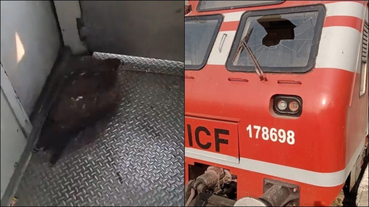 Eagle Crashes Into Windscreen Of J&K Train, Locomotive Pilot Suffers Minor Injuries