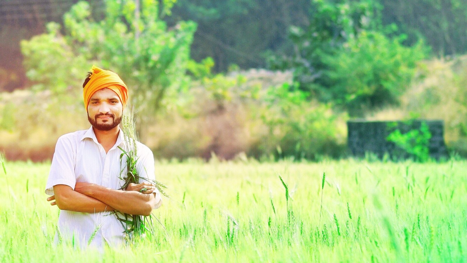 For farmers, the practical benefits of Bharat Vistar could be immense. Imagine a smallholder in Maharashtra who is unsure whether to sow cotton or soybeans in a given season. By inputting basic details into the platform, he could receive AI-driven recommendations based on soil quality, rainfall predictions, and market demand. Similarly, a farmer in Bihar facing pest infestations could get immediate guidance on safe and effective remedies, reducing crop loss and financial stress. The platform’s ability to provide localized, timely advice could significantly reduce risks and improve yields, thereby enhancing rural livelihoods. For farmers, the practical benefits of Bharat Vistar could be immense. Imagine a smallholder in Maharashtra who is unsure whether to sow cotton or soybeans in a given season. By inputting basic details into the platform, he could receive AI-driven recommendations based on soil quality, rainfall predictions, and market demand. Similarly, a farmer in Bihar facing pest infestations could get immediate guidance on safe and effective remedies, reducing crop loss and financial stress. The platform’s ability to provide localized, timely advice could significantly reduce risks and improve yields, thereby enhancing rural livelihoods.