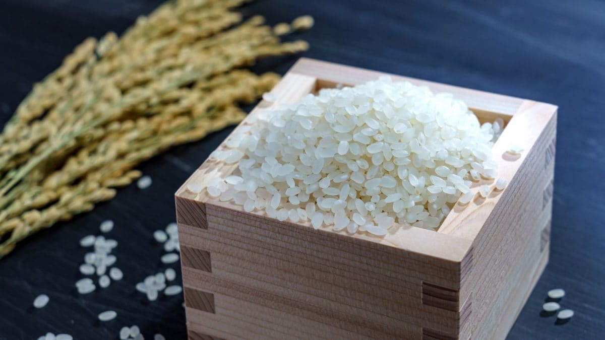 This Is The Most Expensive Rice In The World – Costs Rs 12,500 A Kilogram