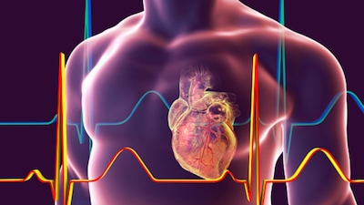 Doctors urge risk-based heart screening, not just age-based testing.