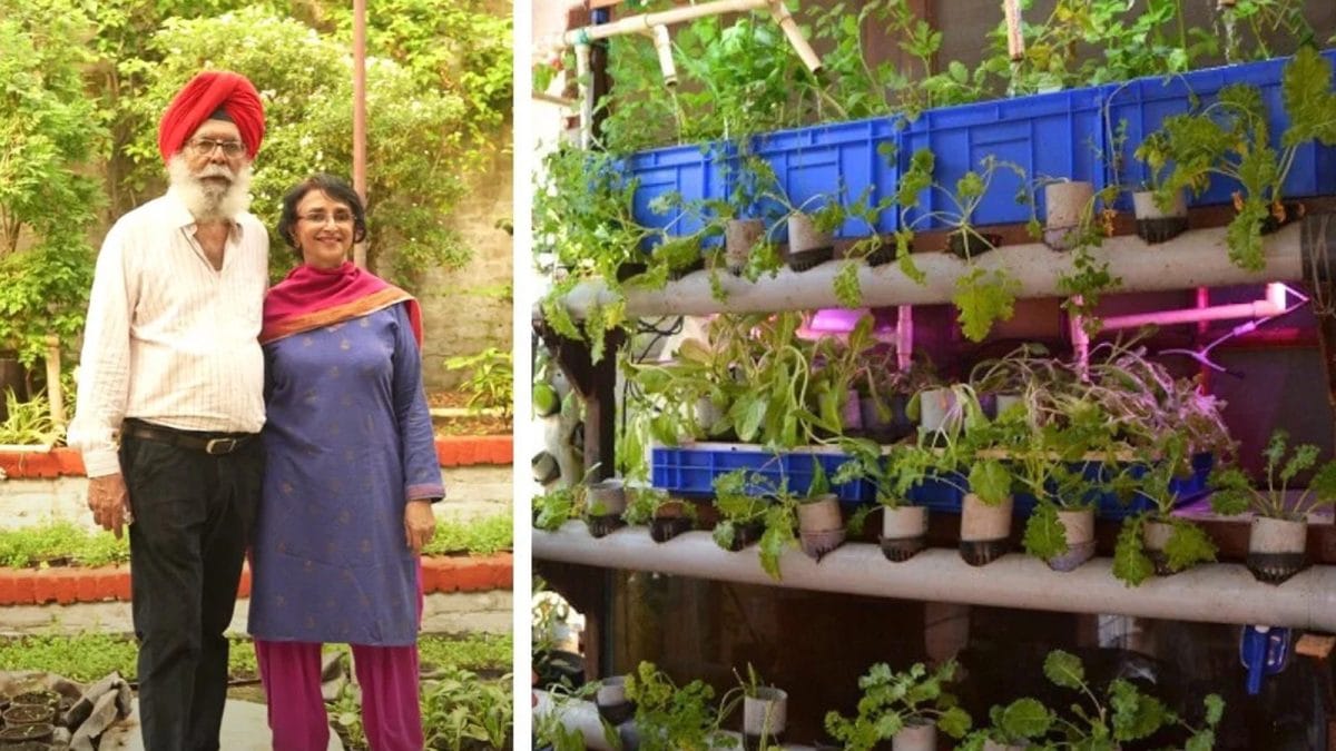 How One Delhi Home Beat The Smog With An AQI Of Just 15