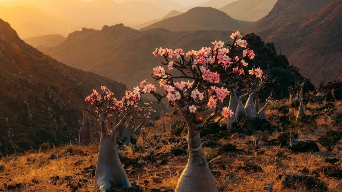 It Looks Alien, But It’s Real: Can You Name This Island?