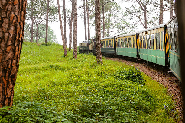The 21-kilometre journey, famed for its Western Ghats views, was halted in June for monsoon safety. During this time, only the short Aman Lodge–Dasturi Point shuttle ran, helping visitors and locals reach the hill station.
