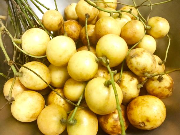 Lasoda: The fruit has antioxidants, anti-inflammatory and respiratory-soothing properties. You can incorporate this fruit in your diet by making lasoda chutney. 