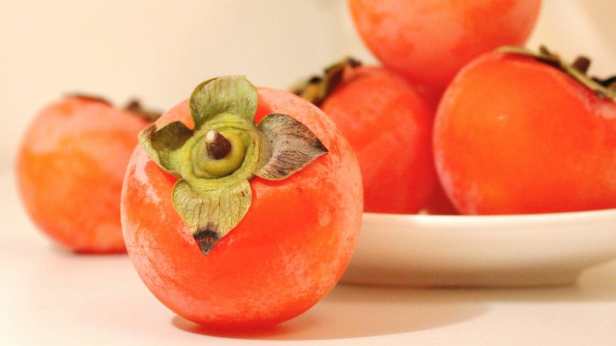 Sweet, Soft and Perfect For Desserts, These 2 Recipes Use Persimmon As The Hero | Food News