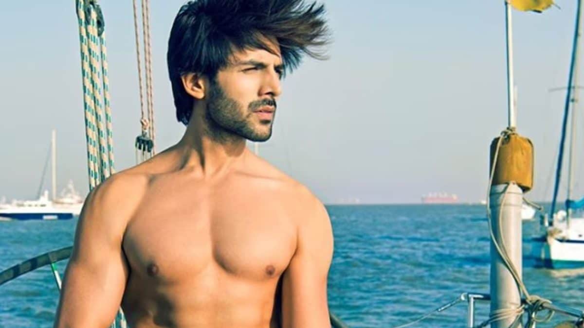 Karkic Body Kartik Aaryan Turns 35: His Motivating Discipline-Driven Physical ...